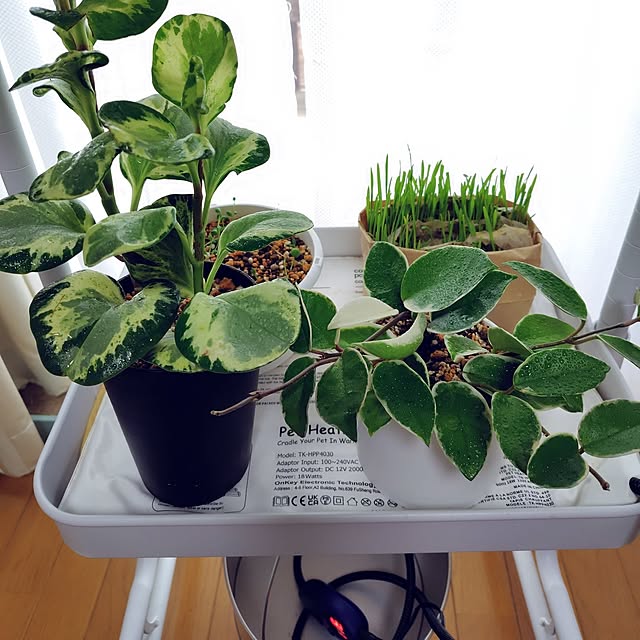 nachiさんの実例写真