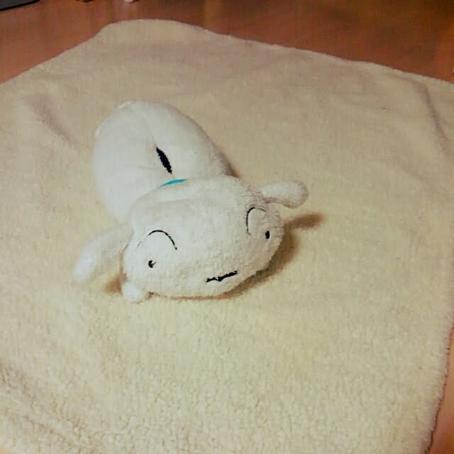 miiiiさんの実例写真