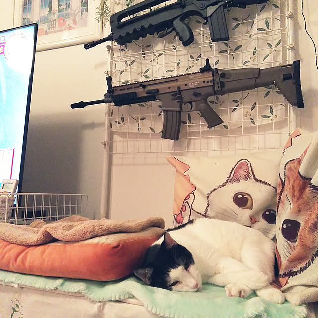 futukoさんの実例写真