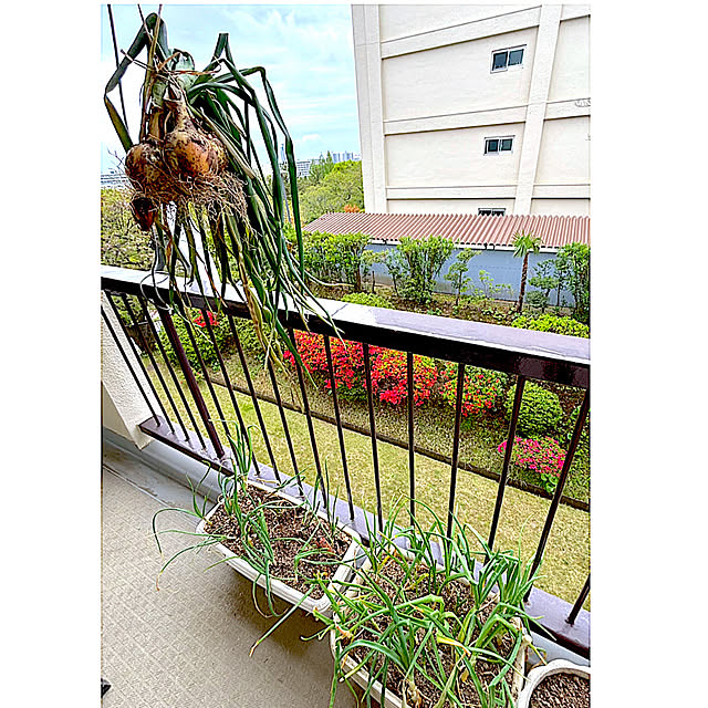 syutmmさんの部屋