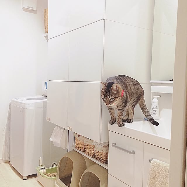 lovecatさんの実例写真