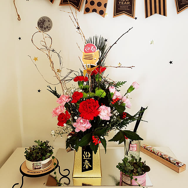 リビング/多肉植物寄せ植え/迎春花/多肉植物のインテリア実例 - 2018-12-31 13:26:46