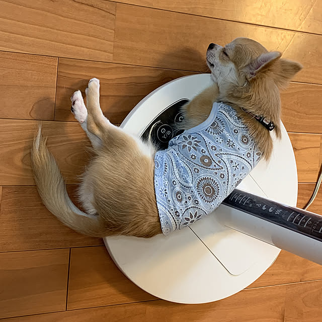 moko7ruiさんの実例写真