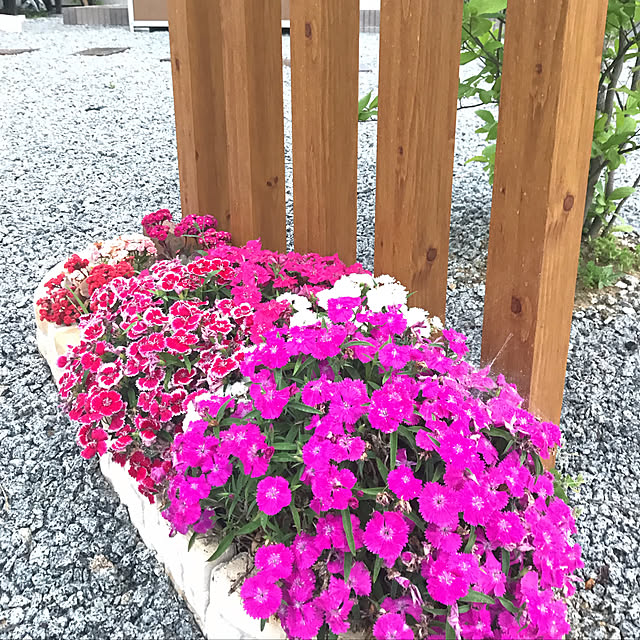 minaさんの実例写真