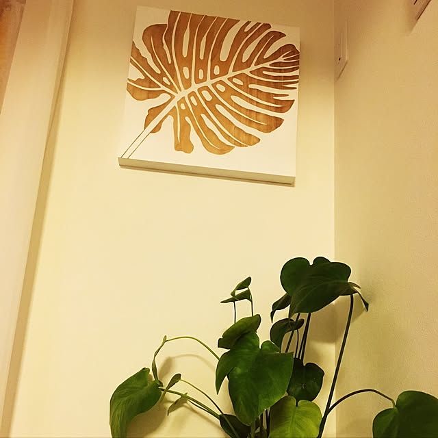 Masakoさんの実例写真
