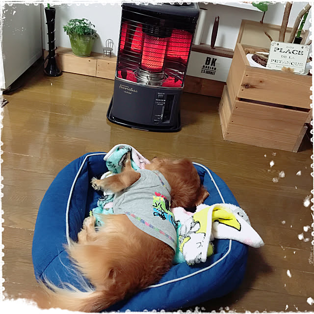 ram_mamaさんの実例写真