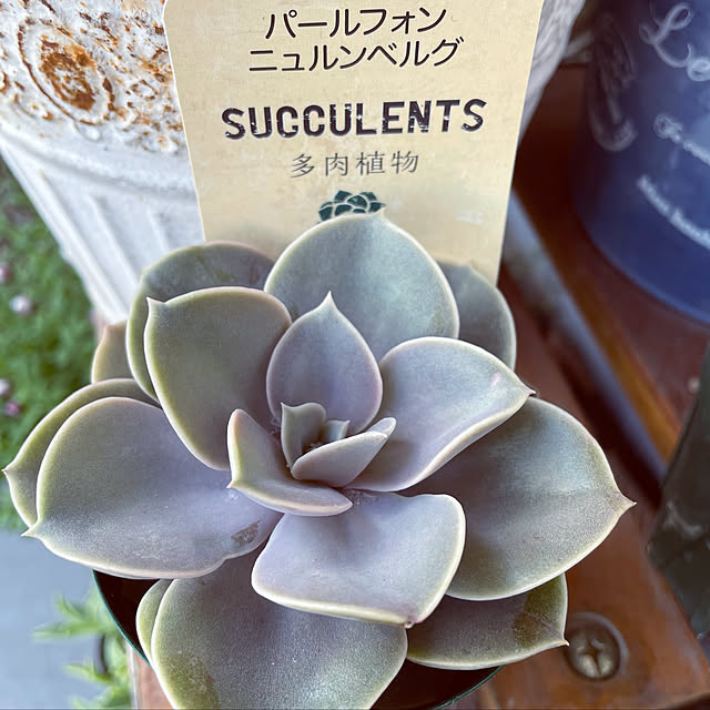 utanさんの実例写真