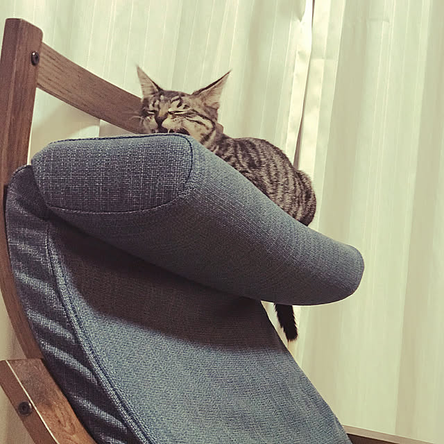 akiraさんの実例写真