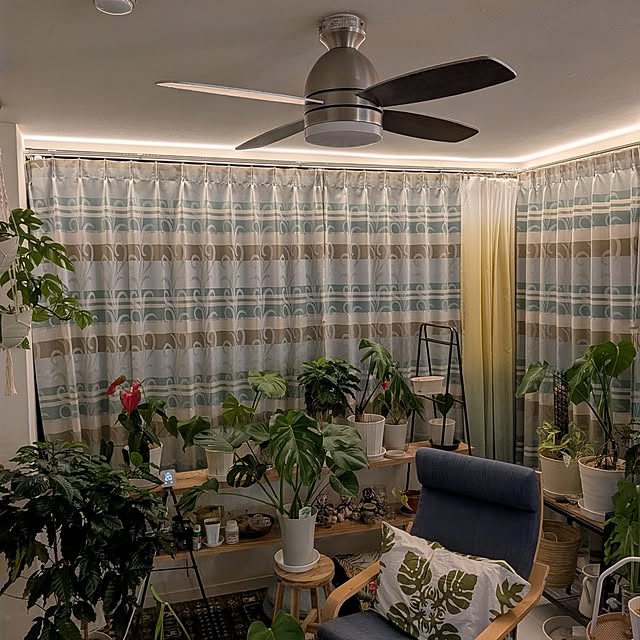 kolo92さんの実例写真