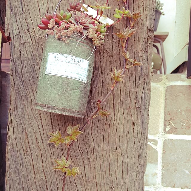 matricariaさんの実例写真