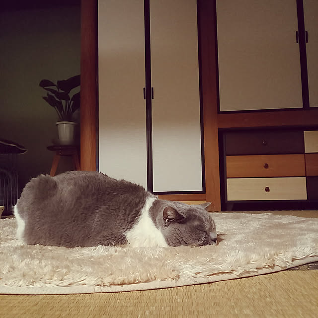 rhuさんの実例写真