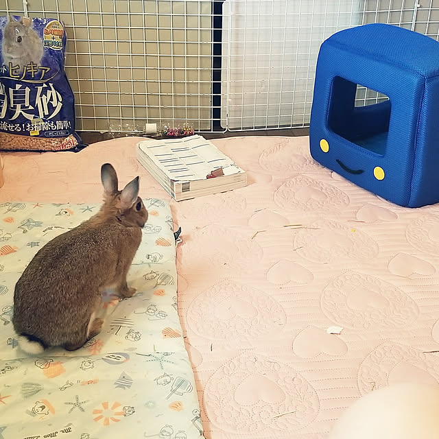 premiumgrandmaさんの実例写真