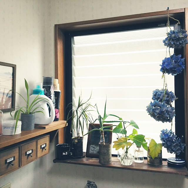 oliveさんの実例写真