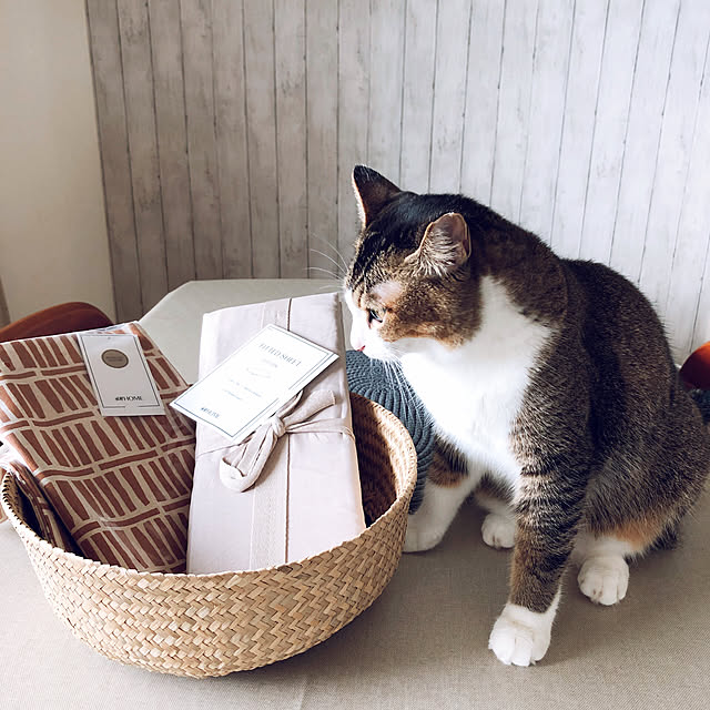 nekomiさんの実例写真