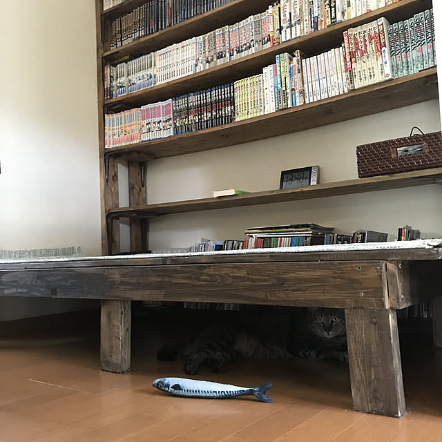 mikan161さんの実例写真