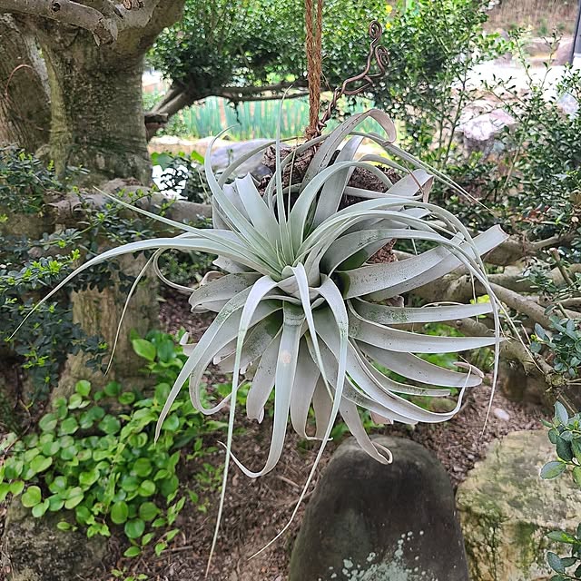Rubiconさんの部屋