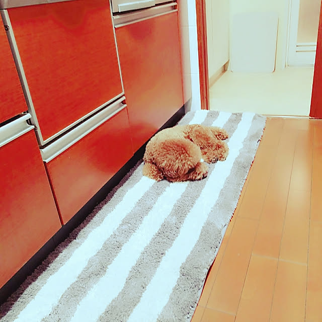 mikiさんの実例写真