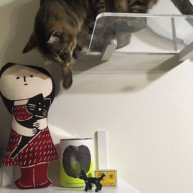mikomaruさんの実例写真