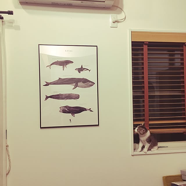 Nogamiさんの実例写真