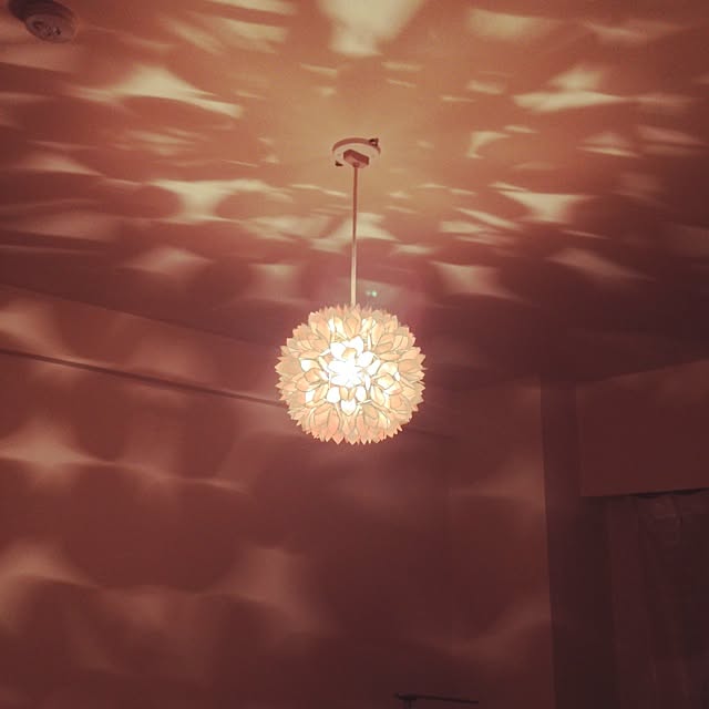 壁/天井/天井/照明のインテリア実例 - 2014-08-14 21:45:51