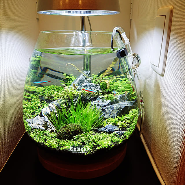 nahokkoさんの実例写真