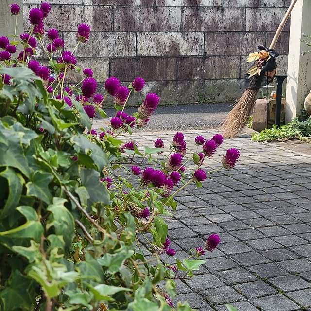 reireiさんの部屋