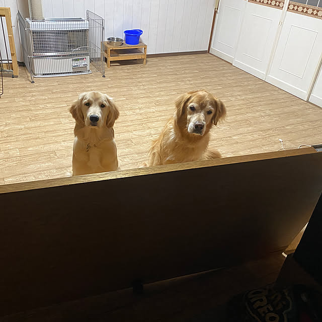 589さんの実例写真