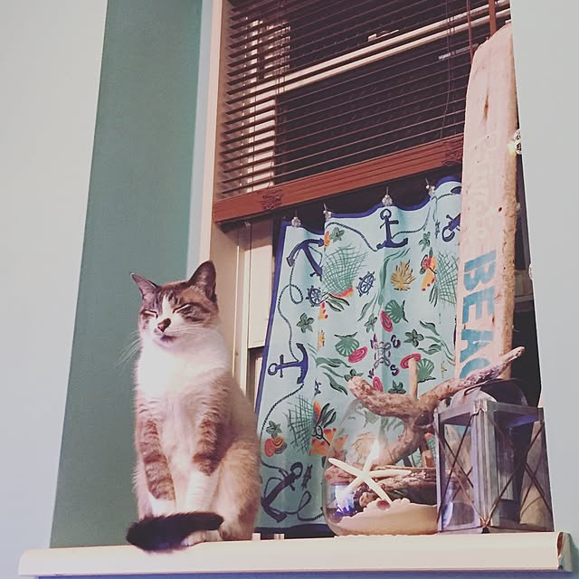 bowbowcoさんの実例写真
