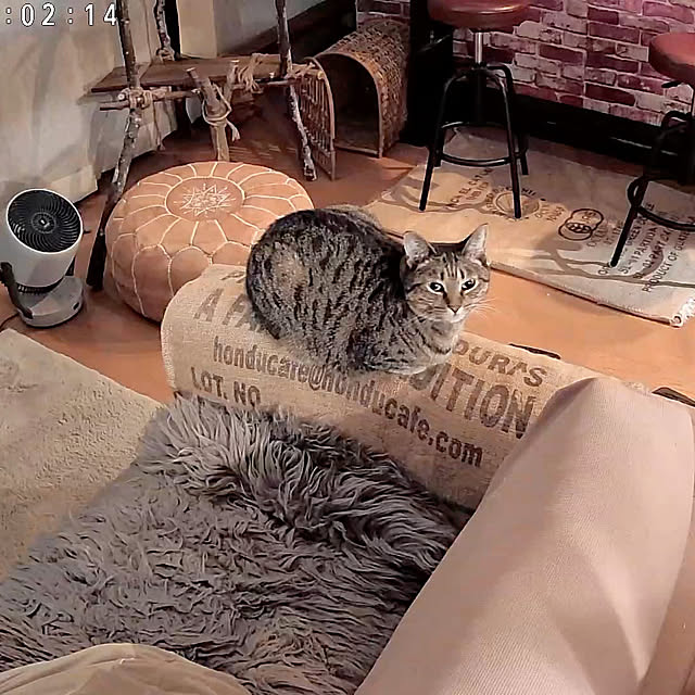 Mさんの部屋