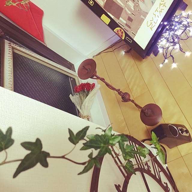 apiさんの実例写真