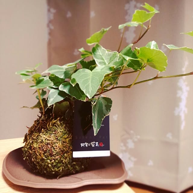 __hatchさんの実例写真