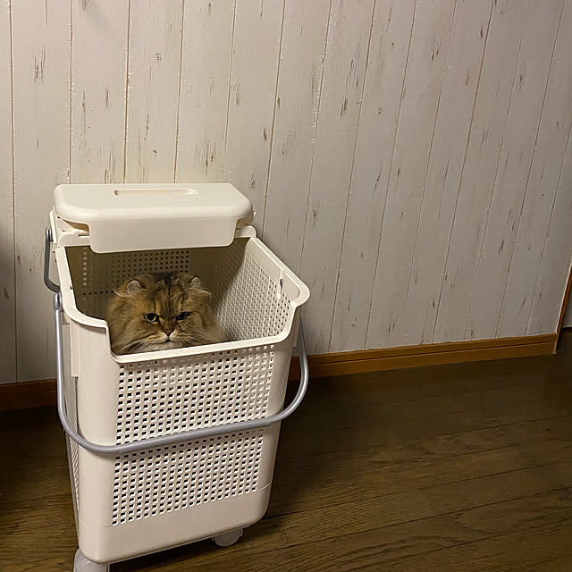 xxyumexx.roomさんの実例写真