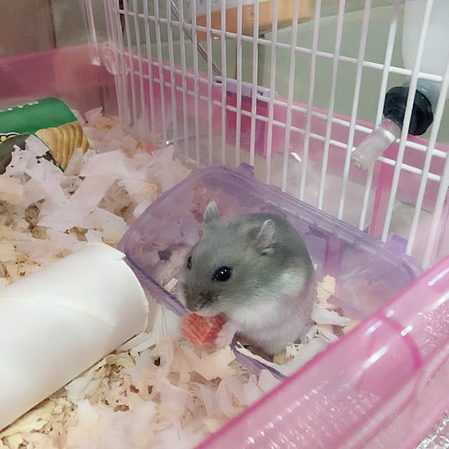 milkさんの実例写真
