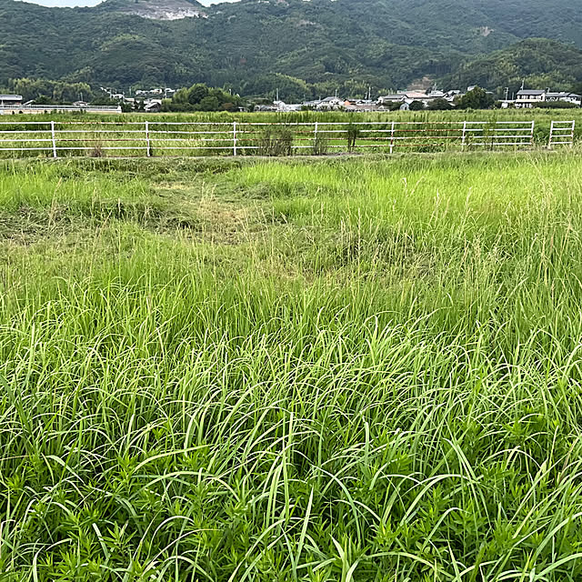 Vakiさんの部屋