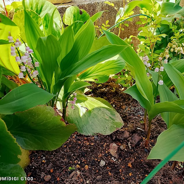 civicglさんの部屋