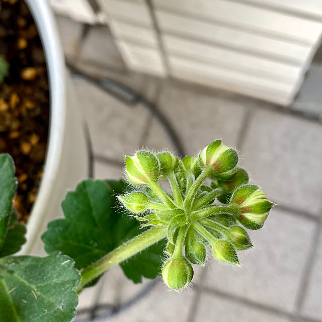 YuuKoさんの部屋