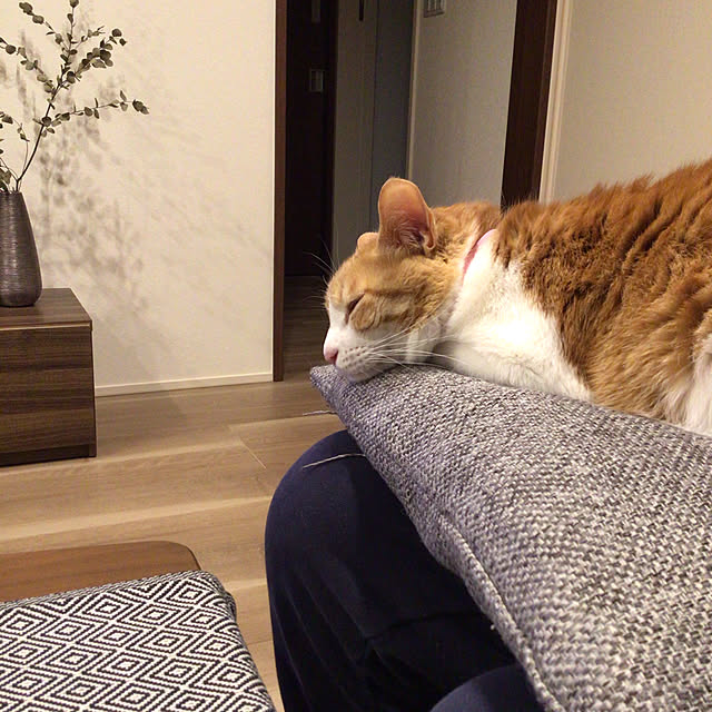houenさんの部屋