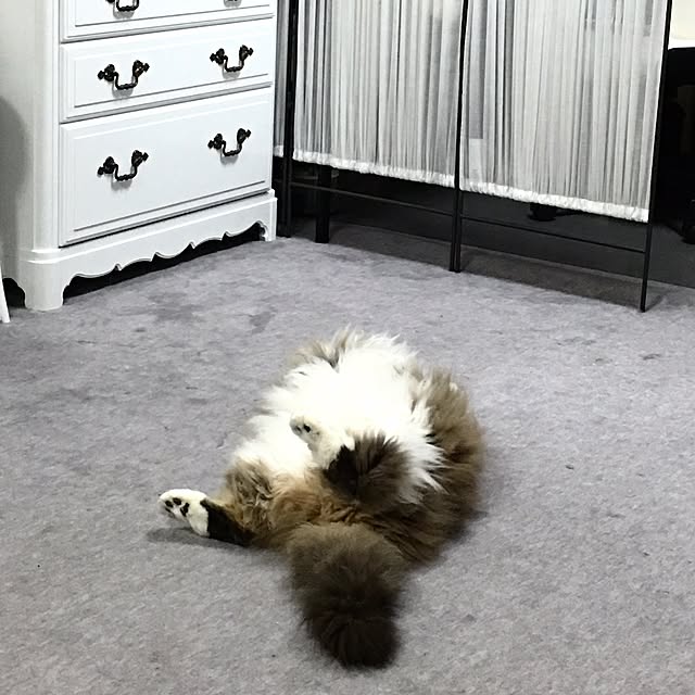 mosuraさんの実例写真