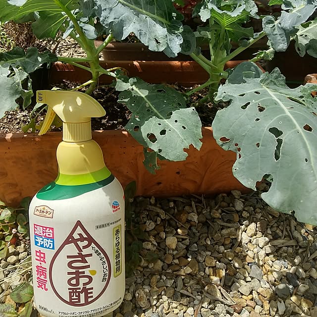 Rさんの部屋
