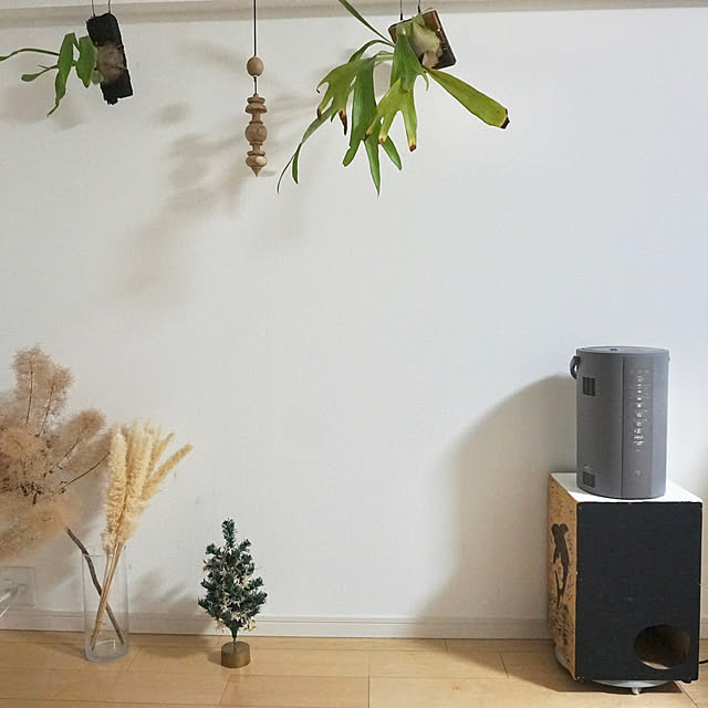 eepさんの実例写真