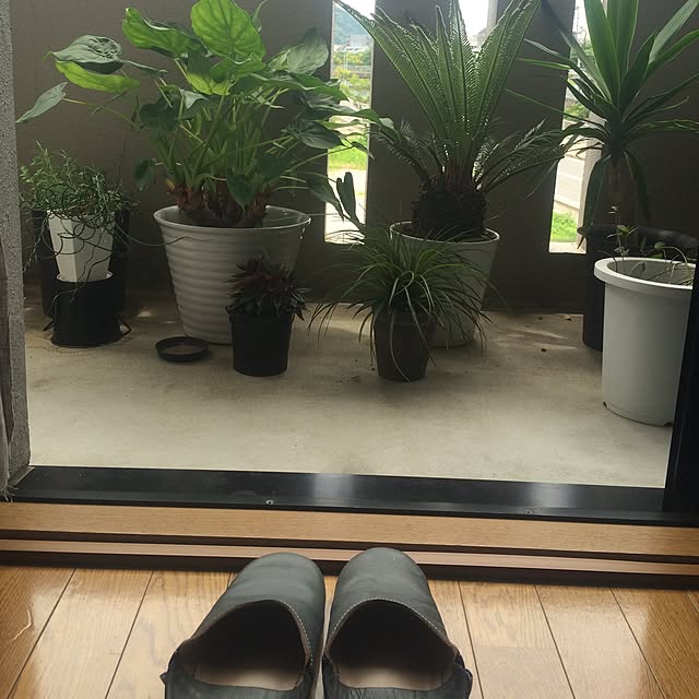 Chuckさんの実例写真