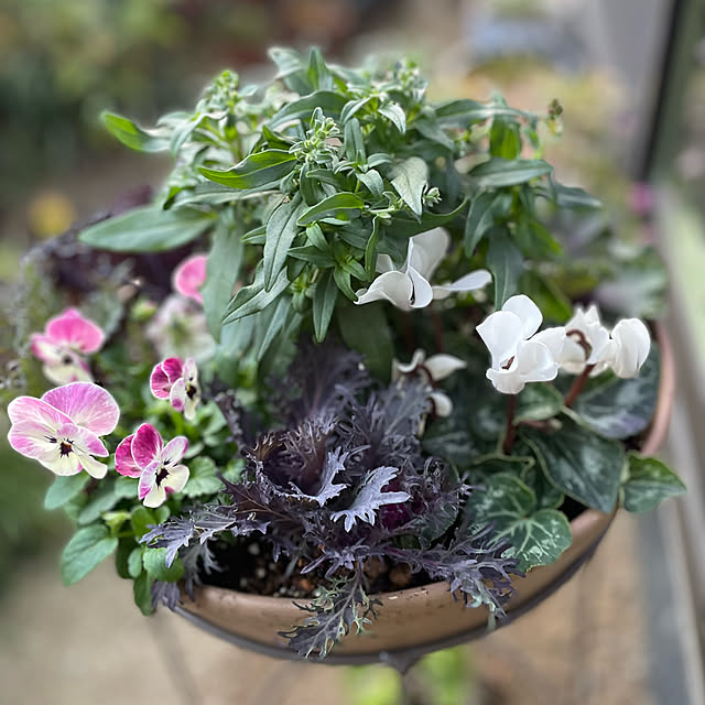 buchiさんの部屋