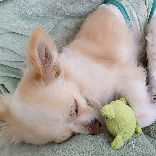 PAOさんの実例写真