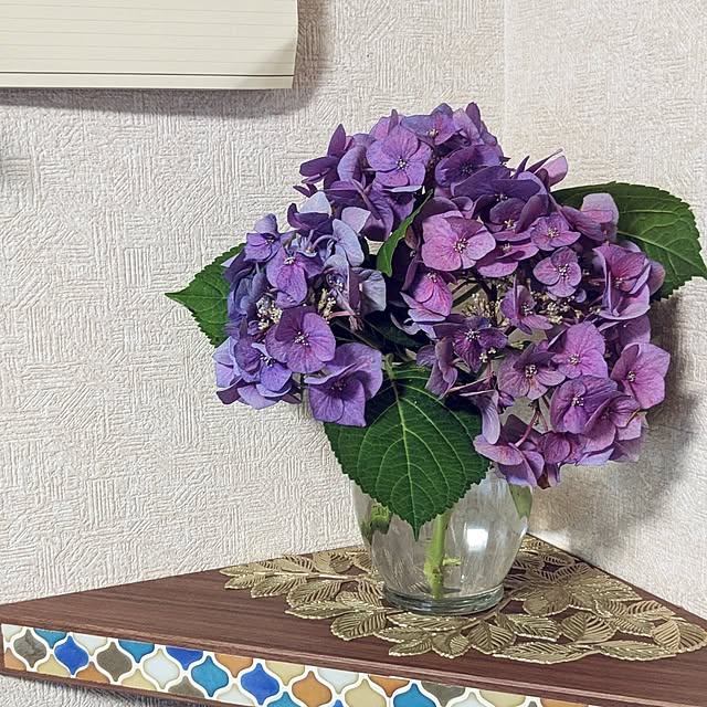 mofukoさんの部屋