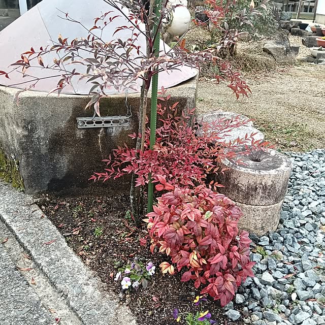 sumimarumiさんの部屋