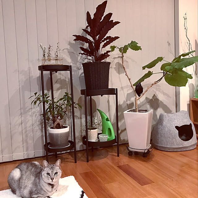 maroさんの実例写真