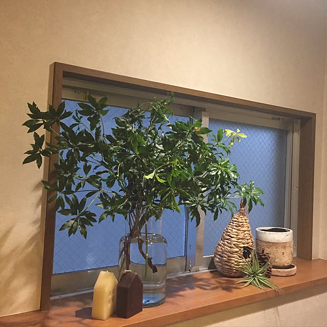anversmariさんの実例写真