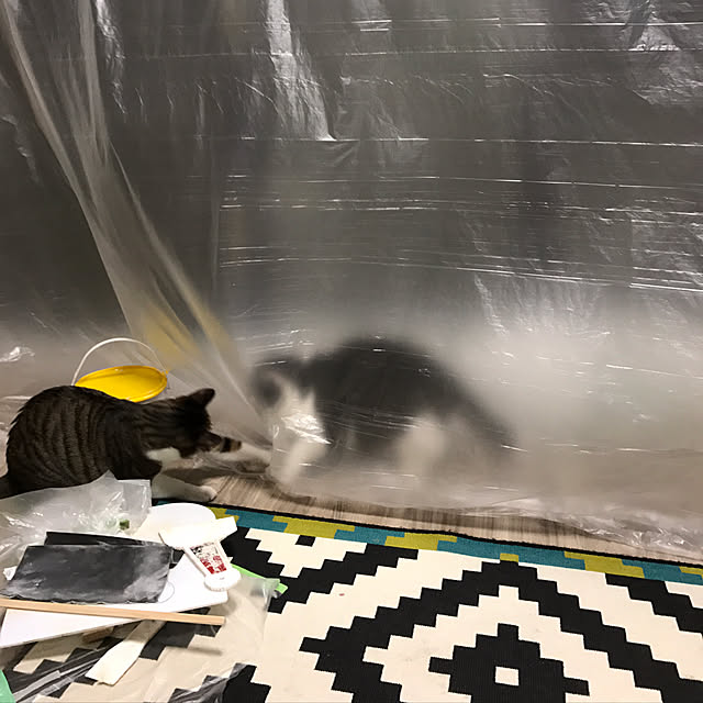 noikoさんの実例写真