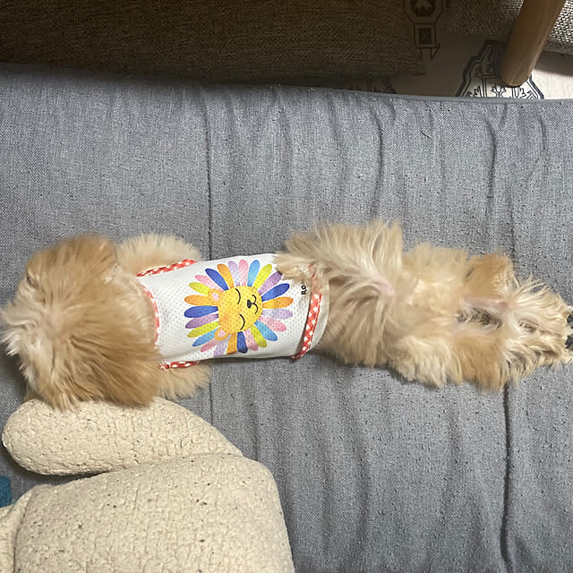 chachamamaさんの部屋