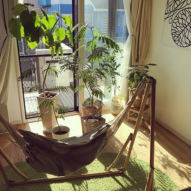 部屋全体/観葉植物/グリーンが好き/グリーンと暮らす心地よい部屋/グリーンインテリア...などのインテリア実例 - 2017-01-18 11:55:07